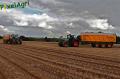 arrachage-de-pdt-2012-cerfontaine-020-horzcopy.jpg
