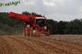arrachage-de-pdt-2012-cerfontaine-029-horzcopy.jpg
