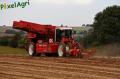 arrachage-de-pdt-2012-cerfontaine-045-horzcopy.jpg