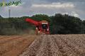 arrachage-de-pdt-2012-cerfontaine-064-horzcopy.jpg
