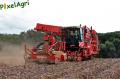 arrachage-de-pdt-2012-cerfontaine-213-horzcopy.jpg