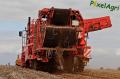 arrachage-de-pdt-2012-cerfontaine-215-horzcopy.jpg