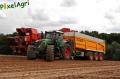 arrachage-de-pdt-2012-cerfontaine-241-horzcopy.jpg
