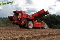 arrachage-de-pdt-2012-cerfontaine-247-horzcopy.jpg