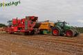 arrachage-de-pdt-2012-cerfontaine-259-horzcopy.jpg