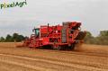 arrachage-de-pdt-2012-cerfontaine-275-horzcopy.jpg