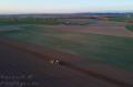 Plantation de PDT (Casterman)