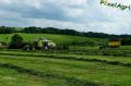 ensilage-d-herbe-2012-e-vert18copy.jpg