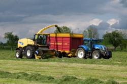 ensilage-d-herbe-2012-herens-086-vert.jpg