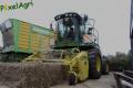 Ensilage de balles de paille 2012 (Evrard)