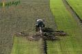 ensilage-d-herbe-2012-vital-laschet-fils-246-horzcopy.jpg