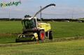 ensilage-d-herbe-2012-vital-laschet-fils-297-horzcopy.jpg