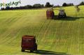 ensilage-d-herbe-2012-vital-laschet-fils-414-horzcopy.jpg