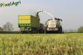 Ensilage d'herbe 2013 (Lacroix)