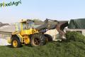 Ensilage d'herbe 2013 (London)