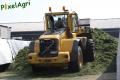 Ensilage d'herbe 2013 (London)