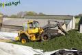 Ensilage d'herbe 2013 (London)