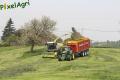 Ensilage d'herbe 2013 (London)