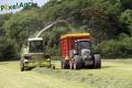 Ensilage d'herbe 2013 (Ruwet)