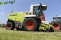 Ensilage d'herbe 2013 (Vital Laschet & fils)