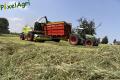 Ensilage d'herbe 2013 (Vital Laschet & fils)