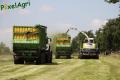 Ensilage d'herbe 2013 (Vital Laschet & fils)