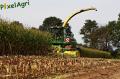 Ensilage de maïs 2012 (Evrard)