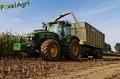Ensilage de maïs 2012 (Evrard)