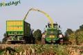 Ensilage de maïs 2012 (Evrard)