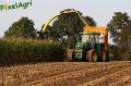Ensilage de maïs 2012 (Evrard)
