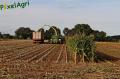 Ensilage de maïs 2012 (Evrard)