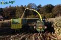 Ensilage de maïs 2012 (Evrard)