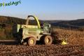 Ensilage de maïs 2012 (Evrard)