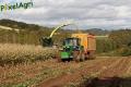 Ensilage de maïs 2012 (Evrard)