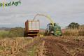 Ensilage de maïs 2012 (Evrard)
