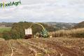 Ensilage de maïs 2012 (Evrard)