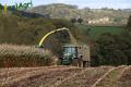Ensilage de maïs 2012 (Evrard)