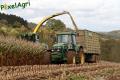 Ensilage de maïs 2012 (Evrard)