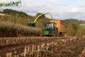 Ensilage de maïs 2012 (Evrard)