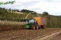 Ensilage de maïs 2012 (Evrard)