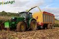 Ensilage de maïs 2012 (Evrard)