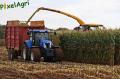ensilage-de-mais-2012-herens-064-vertcopy.jpg