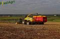 ensilage-de-mais-2012-herens-126-vertcopy.jpg