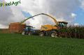 ensilage-de-mais-2012-herens-250-vertcopy.jpg