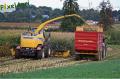 ensilage-de-mais-2012-herens-280-vertcopy.jpg