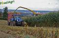 ensilage-de-mais-2012-herens-287-vertcopy.jpg