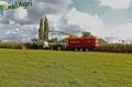 Ensilage de maïs 2012 (Egide London)