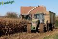 Ensilage de maïs 2012 (Lacroix)