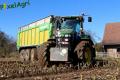 Ensilage de maïs 2012 (Lacroix)