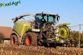 Ensilage de maïs 2012 (Lacroix)